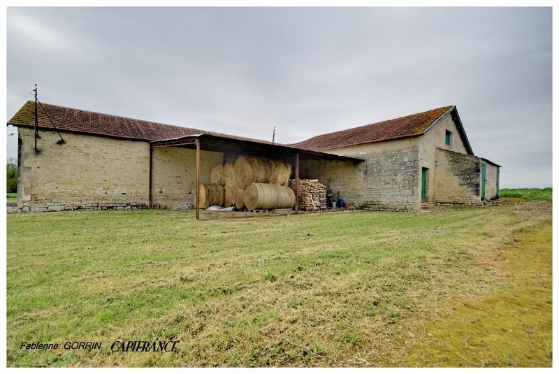 Maison en pierre - 105 m² - 5 pièces