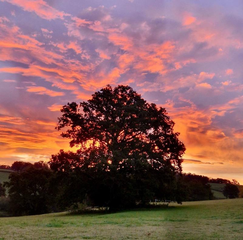 Maison - 219 m² - 10 pièces