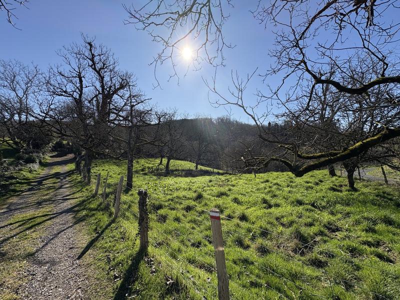 Maison - 78 m² - 5 pièces