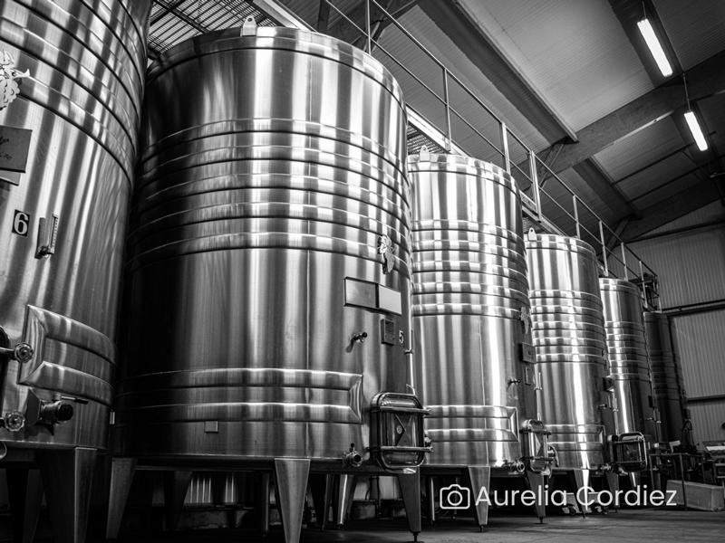 Visite-dégustation : Visite du domaine et histoire de l'appellation