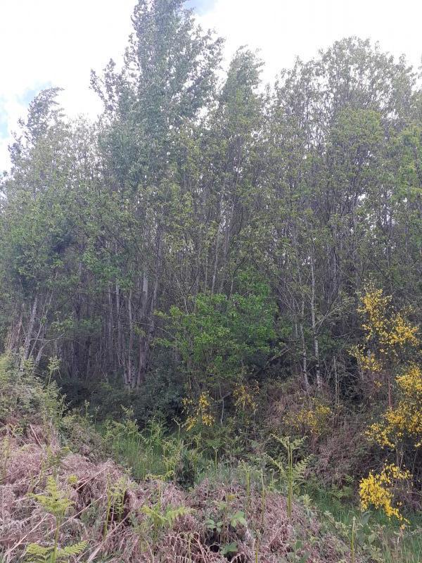 Terrain - 80 130 m²