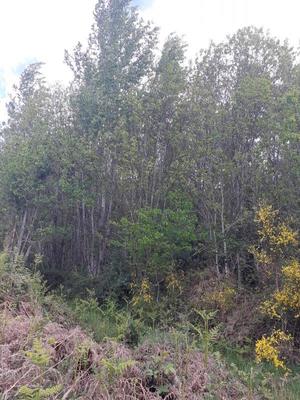 Terrain - 80 130 m²