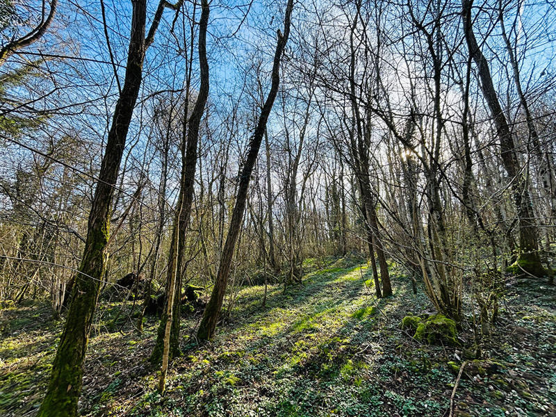 Terrain de loisirs - 21 993 m²