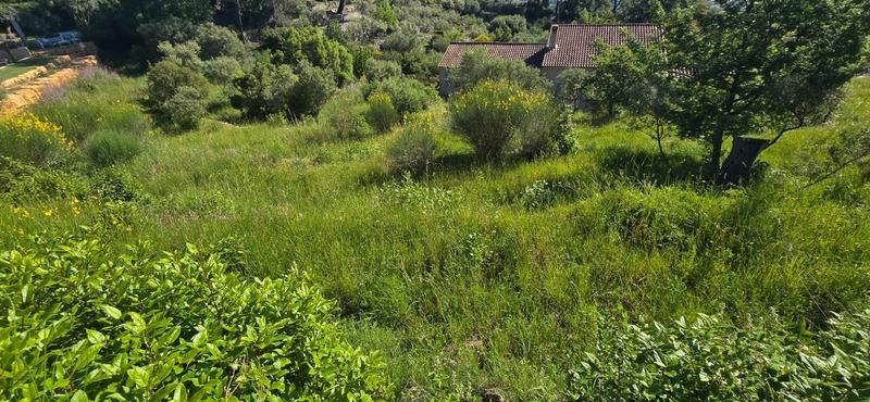 Terrain constructible - 2 000 m²