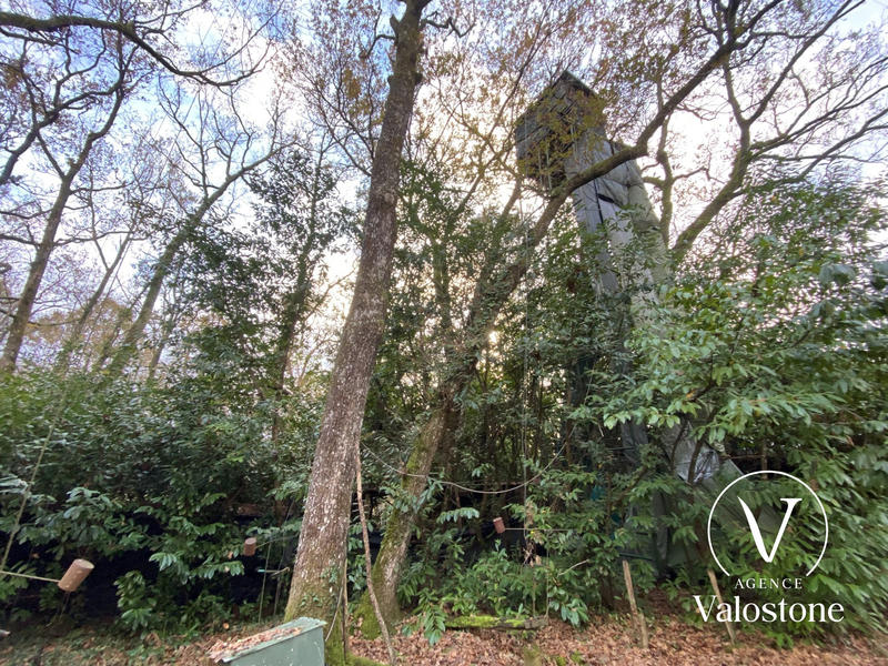 Terrain de loisirs - 60 770 m²