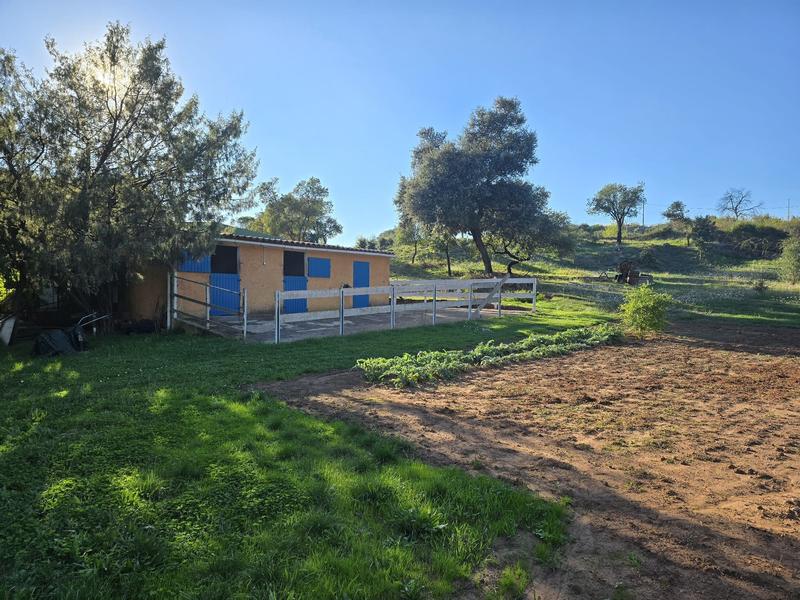 Mas - 175 m² - 6 pièces