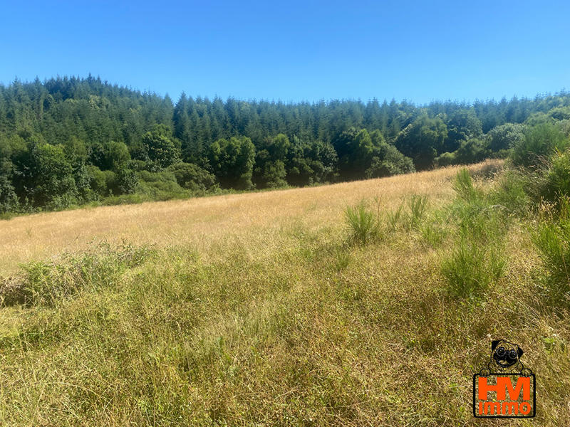 Maison - 162 m² - 8 pièces