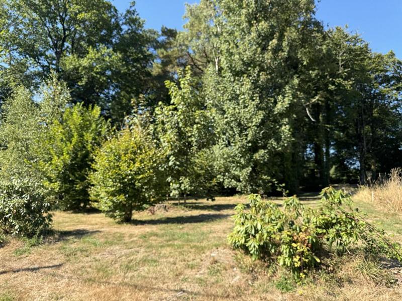 Terrain constructible - 800 m²