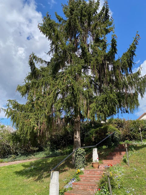 Maison - 167 m² - 7 pièces