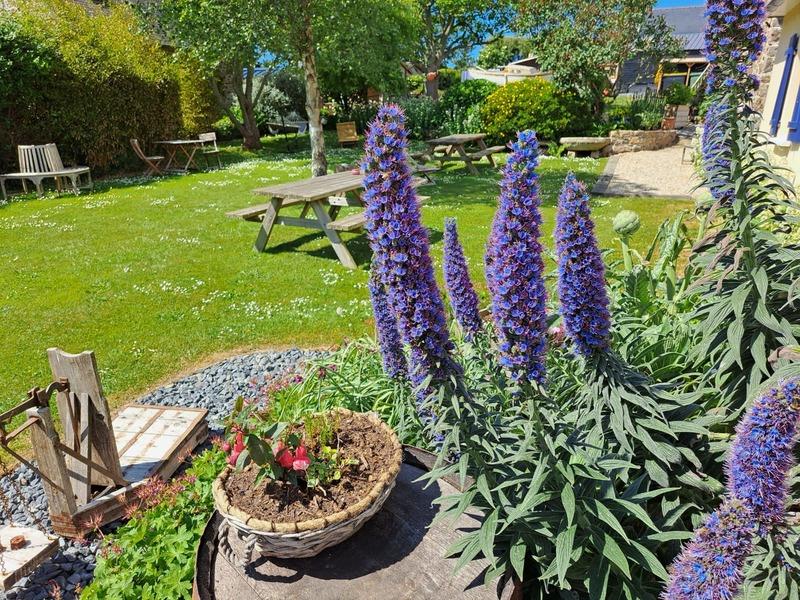 Longère - 261 m² - 17 pièces