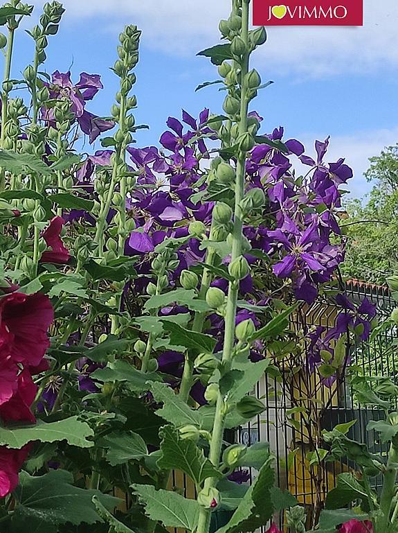 Maison - 66 m² - 4 pièces