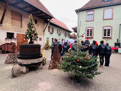 Portes ouvertes Domaine Brand et marché de Noël