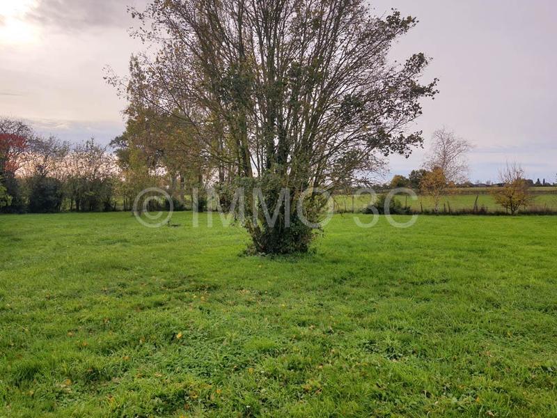 Maison - 313 m² - 11 pièces