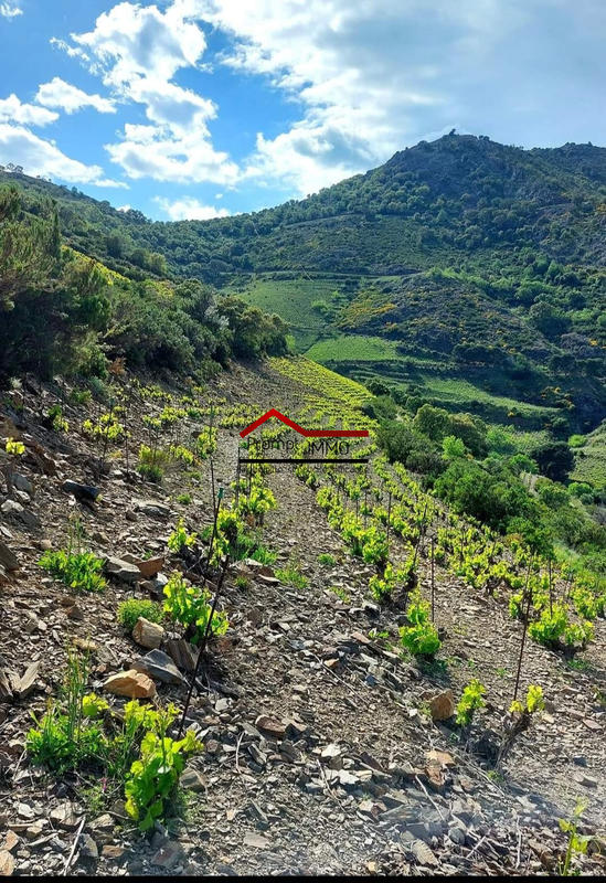 Terrain agricole - 48 000 m²