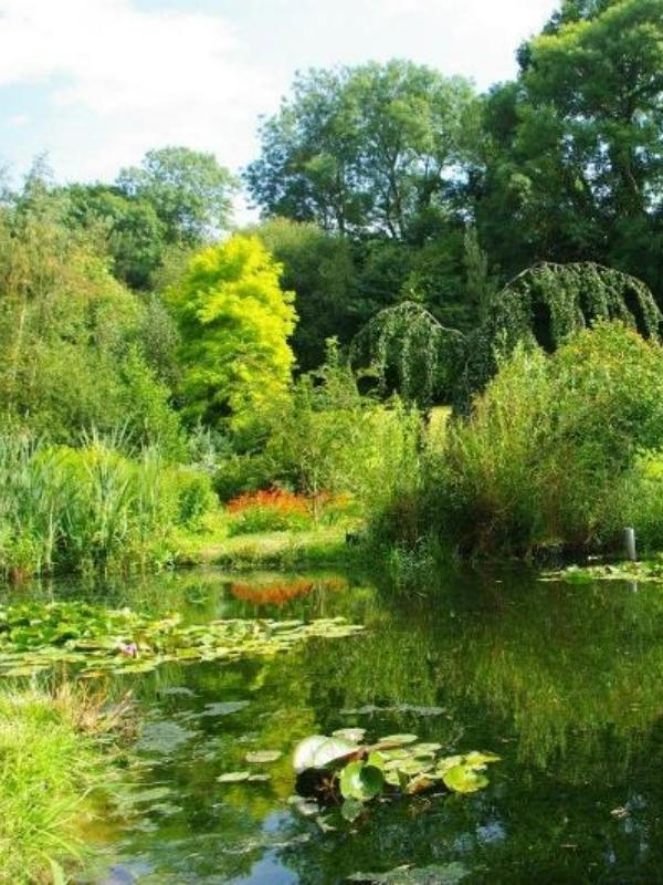 Visite du jardin &quot;Le pré du moulin&quot;