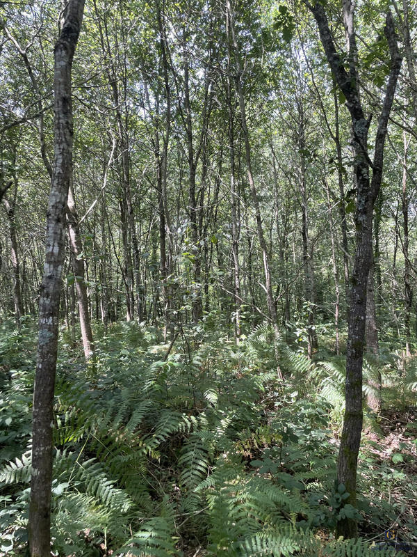 Maison - 190 m² - 7 pièces