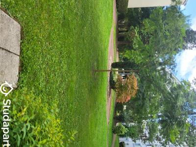 Appartement - 17 m² - 1 pièce