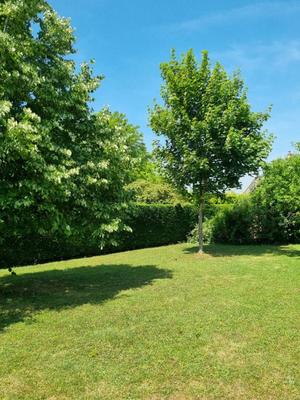 Maison - 270 m² - 10 pièces