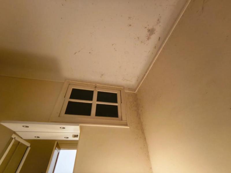 Appartement - 90 m² - 3 pièces