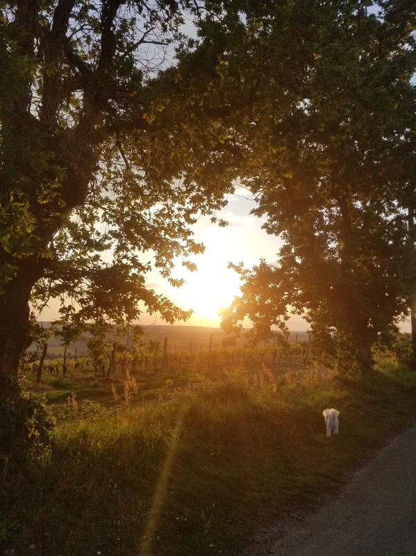 Maison - 148 m² - 6 pièces