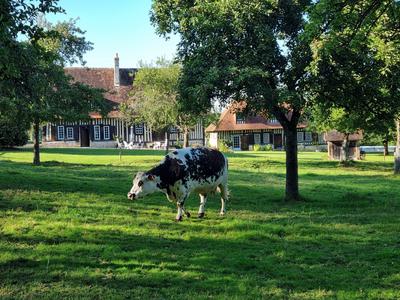 Maison ancienne - 400 m² - 13 pièces