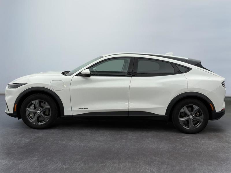 Ford Mustang Mach-E Standard Range 76 kWh 269 ch