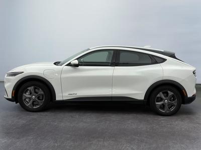 Ford Mustang Mach-E Standard Range 76 kWh 269 ch