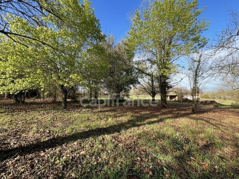 Maison de village - 100 m² - 4 pièces