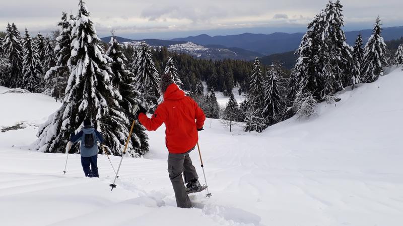À la découverte du Tanet