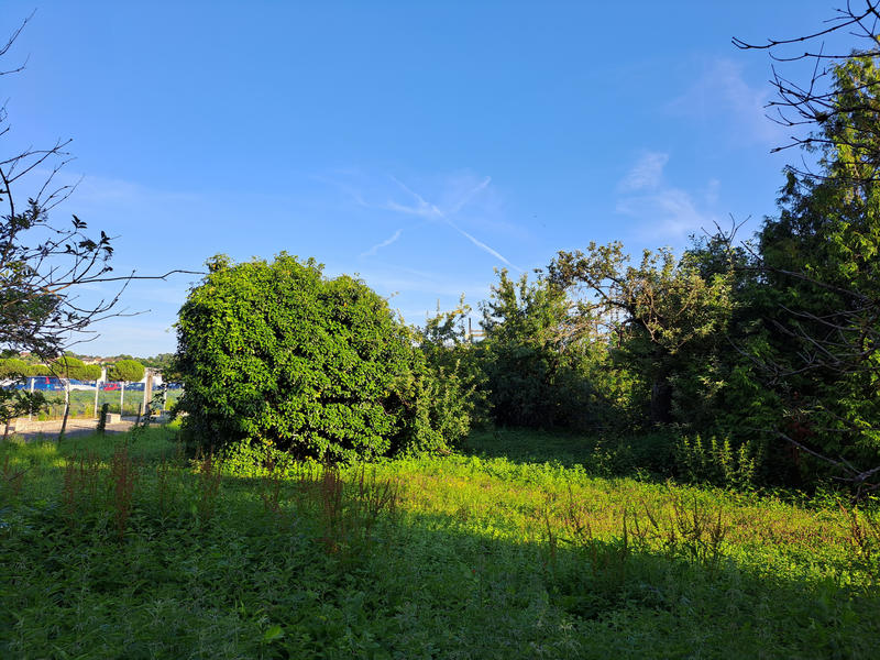 Local commercial - 219 m² - 10 pièces