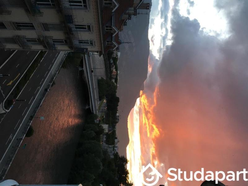 Chambre - 17 m² - 1 pièce