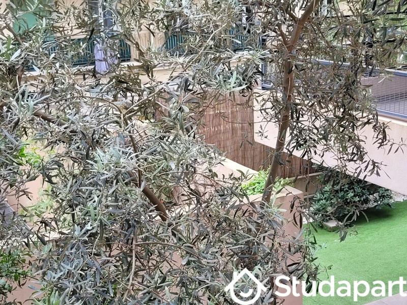 Chambre - 10 m² - 1 pièce