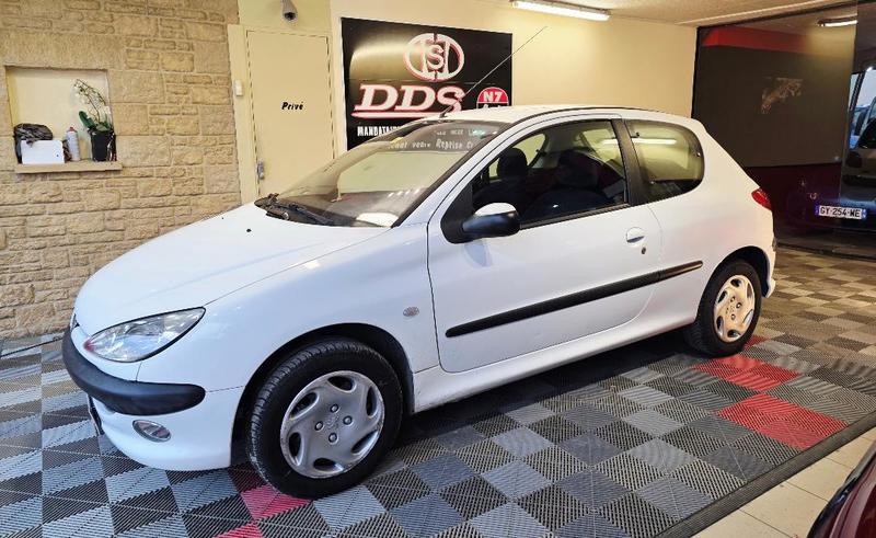 Peugeot 206 Boite Auto Ct Ok Distri Vidange Neuf
