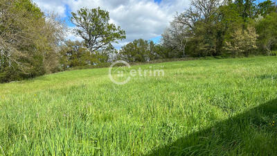 Terrain - 1 100 m²