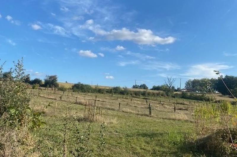 Ferme - 300 m² - 5 pièces