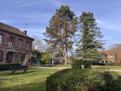 Maison ancienne - 87 m² - 4 pièces