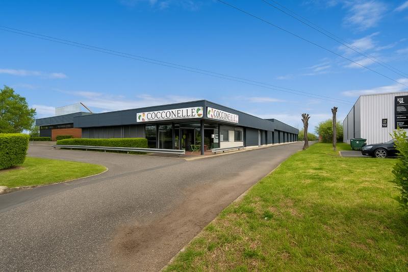 Local d'activité / Entrepôt - 1 000 m²