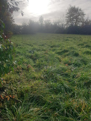 Maison - 215 m² - 3 pièces