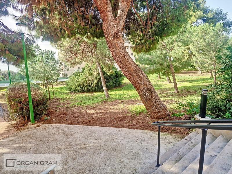 Appartement - 55 m² - 2 pièces