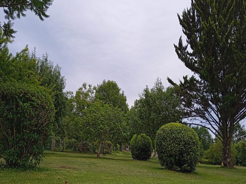 Terrain constructible - 1 740 m²