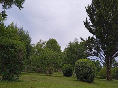 Terrain constructible - 1 740 m²