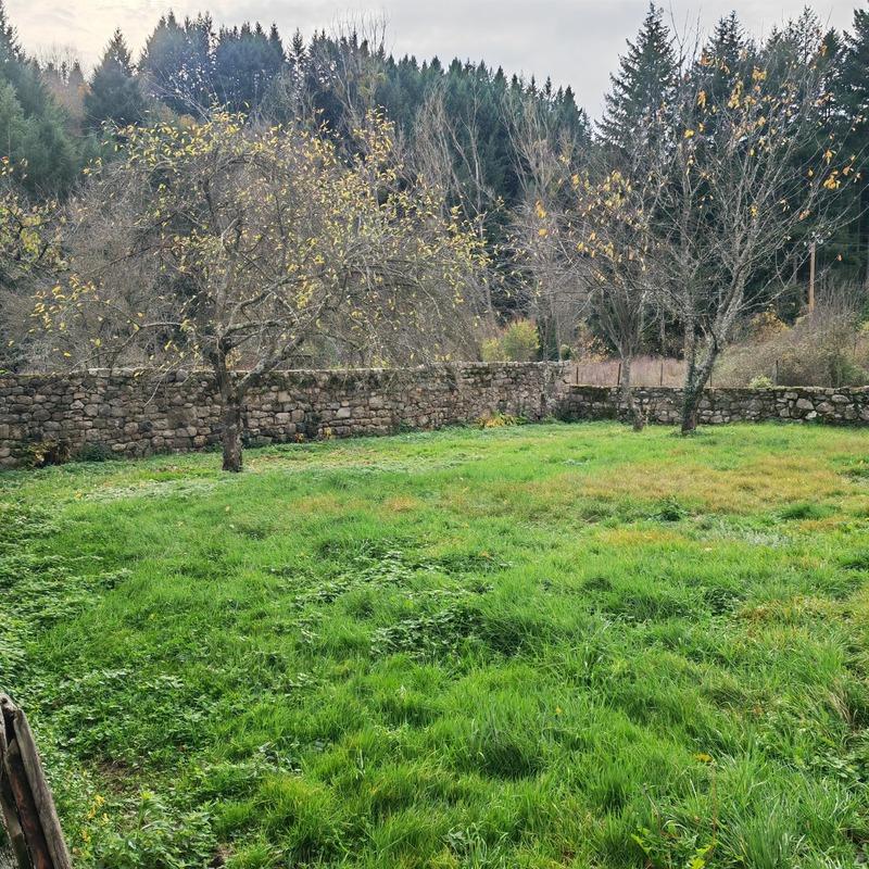 Maison en pierre - 160 m² - 7 pièces