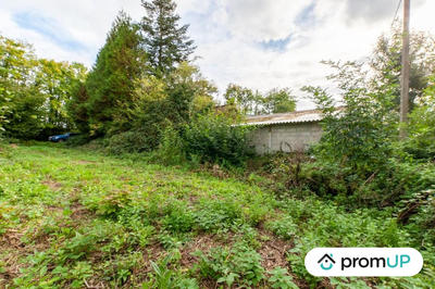 Terrain de loisirs - 1 600 m²