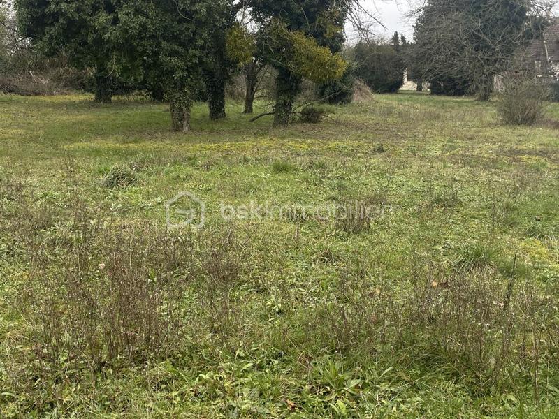 Terrain - 1 250 m²