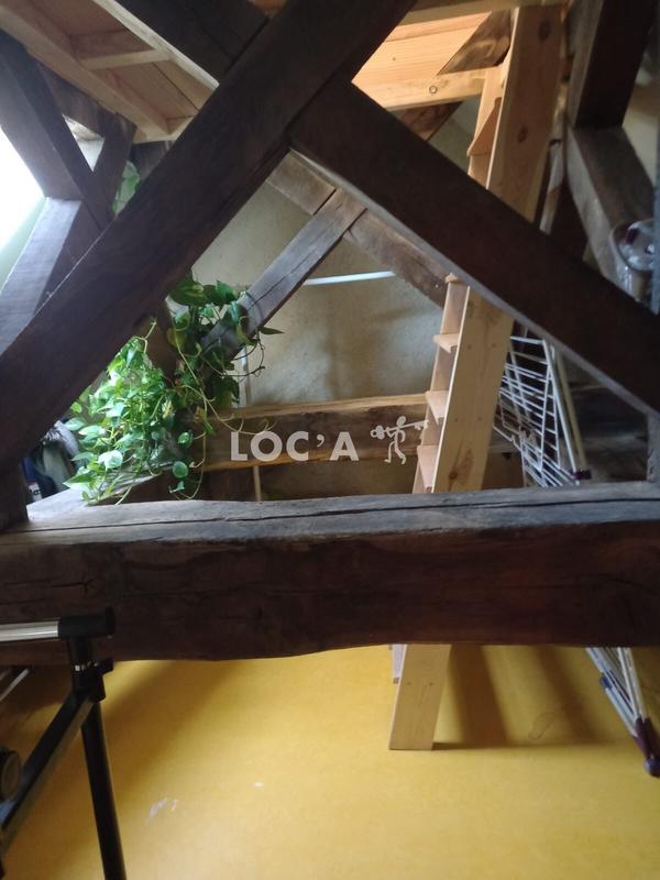 Studio - 14 m² - 1 pièce