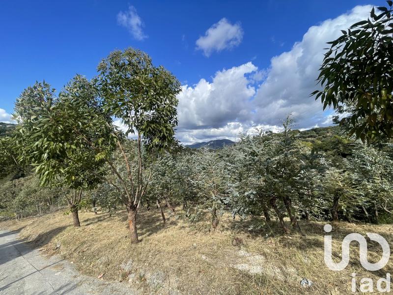 Terrain agricole - 10 100 m²