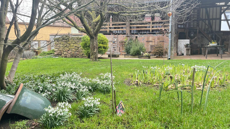 Maison traditionnelle - 250 m² - 8 pièces