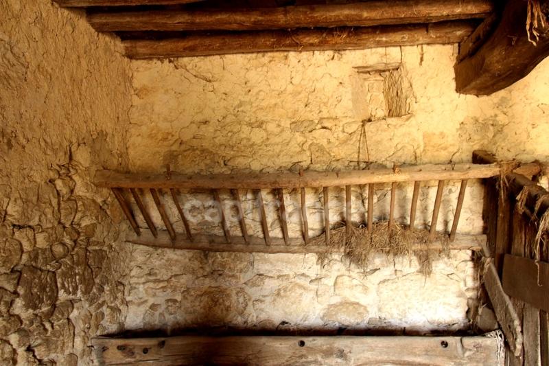 Propriété - 800 m² - 9 pièces