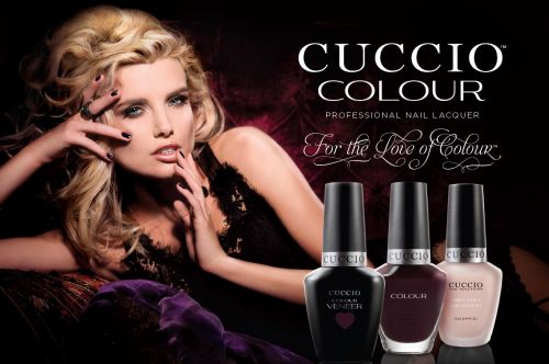 Excellence Cosmétic