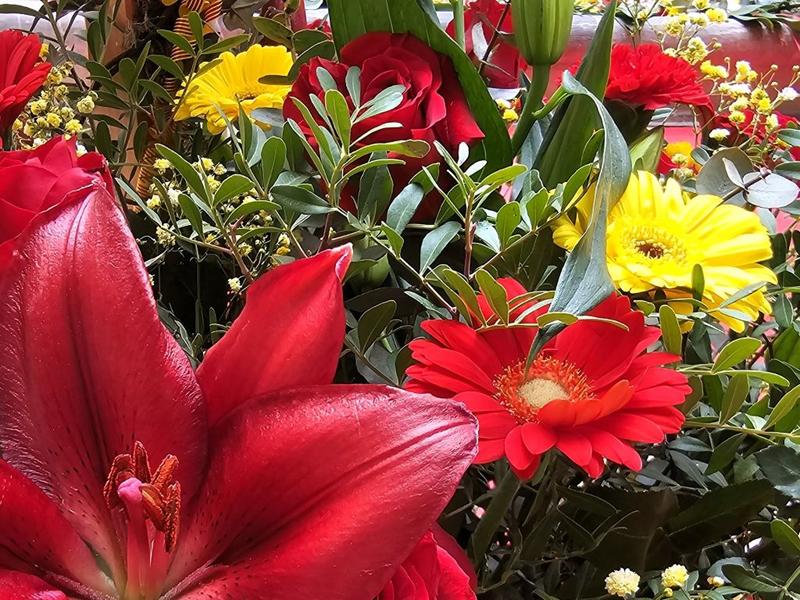 La Sant Jordi au Musée